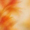 Tag Bg Video
