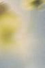 Tag Bg Video